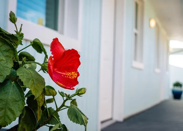 Salt Air Inn&Suites